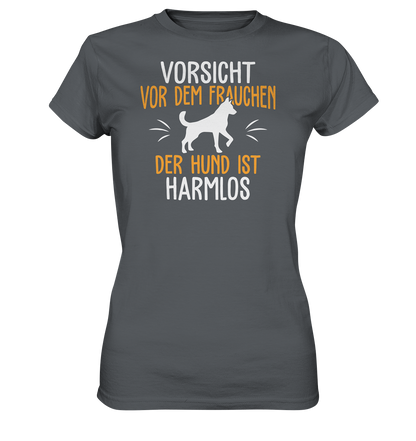 LADIES SHIRT - Vorsicht vor dem Frauchen, der Hund ist harmlos. - Ladies Premium Shirt